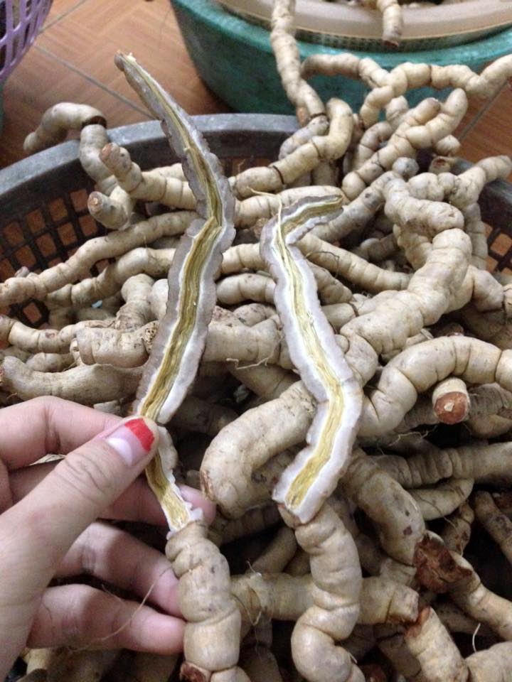 1 Kg ba kích Quảng Ninh đã tách lõi