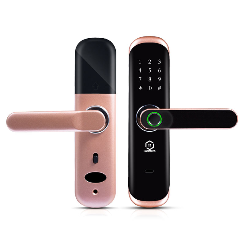 [HCM]Khóa vân tay Smart Lockdoor Homesheel L1