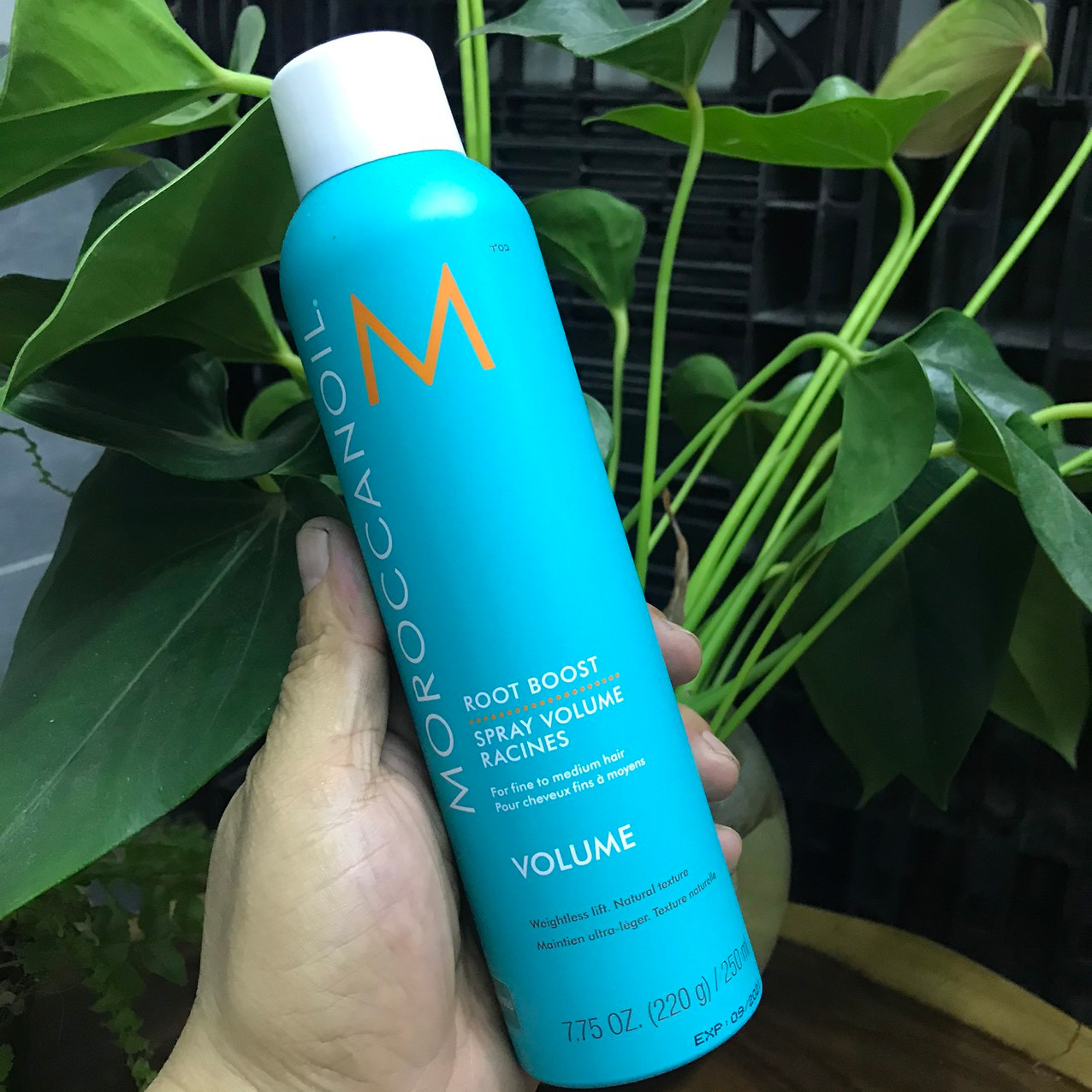 XỊT TĂNG PHỒNG MOROCCANOIL ROOT BOOST 250ML