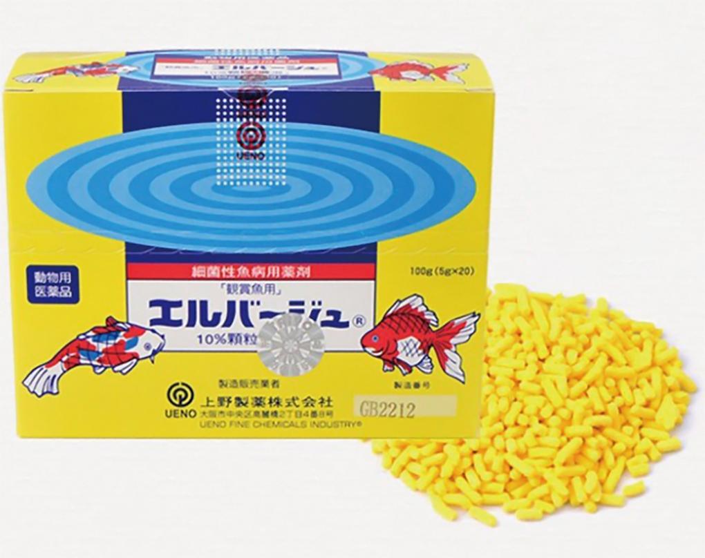 Tetra Nhật - Bột Vàng Cho Cá Cảnh