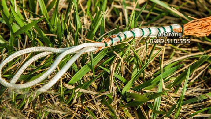 Chài Dù Thái Lan -Bắt Cá Cao 4m Đường Kính 8m