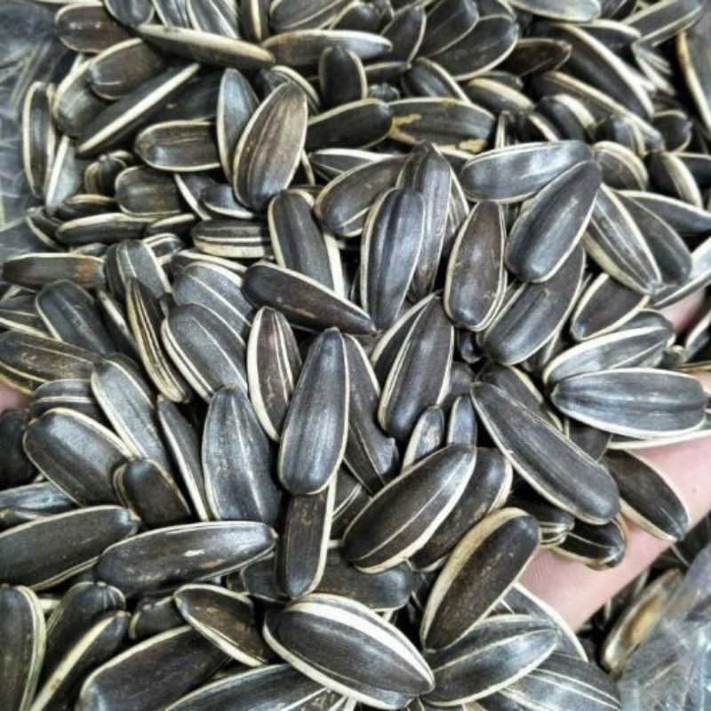 Hạt hướng dương duy ký túi 1kg, - 1kg