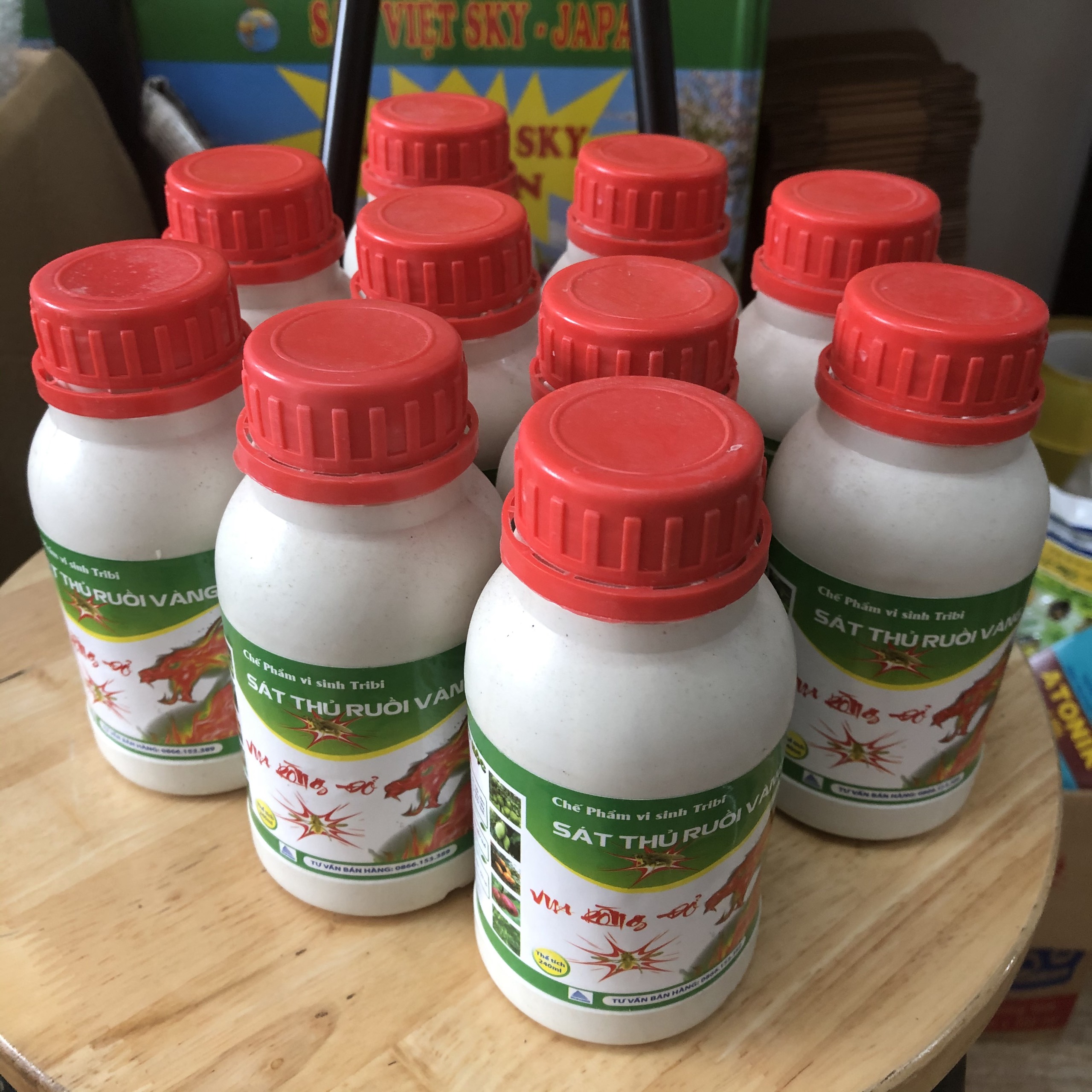 Combo 15 chai sát thủ ruồi vàng 500ml