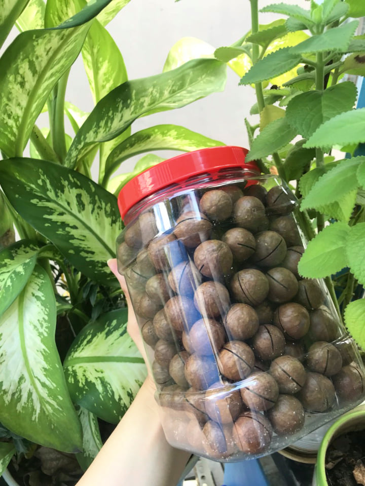 Hạt Macca Úc - 500G