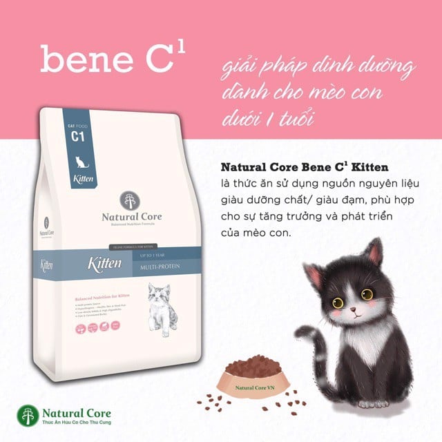 Hạt Hữu Cơ NATURAL CORE C1 BENE Cho Mèo Con 400G
