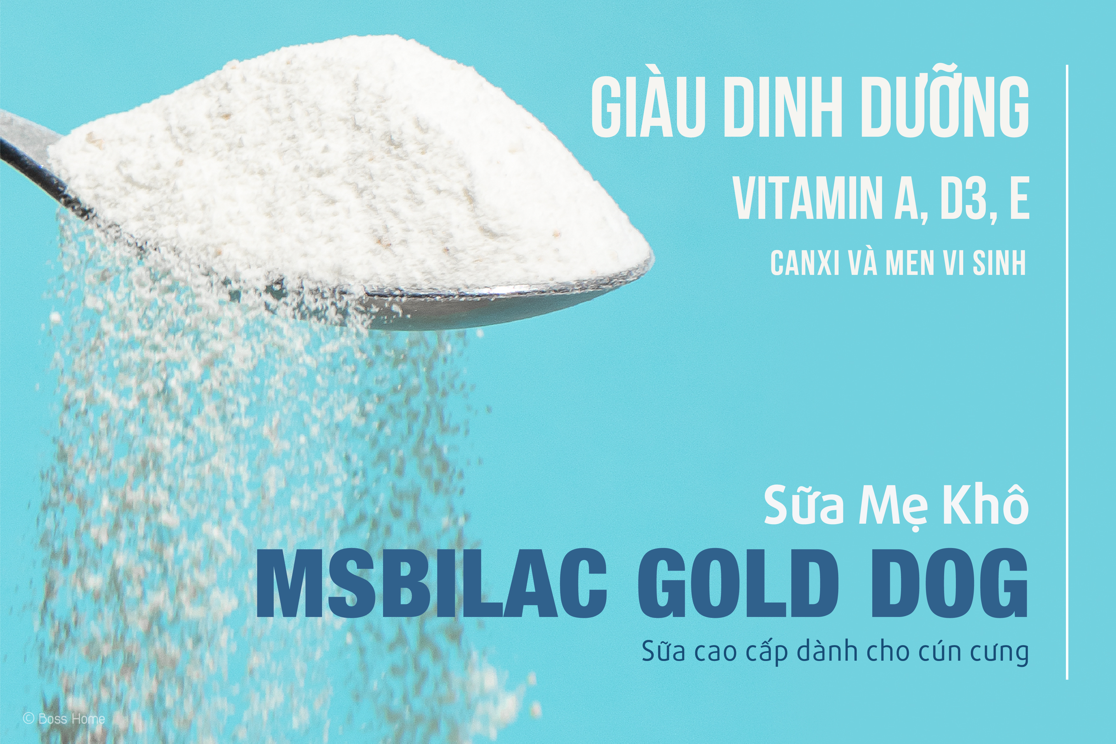 Sữa cho chó cao cấp Msbilac Gold Dog 330g