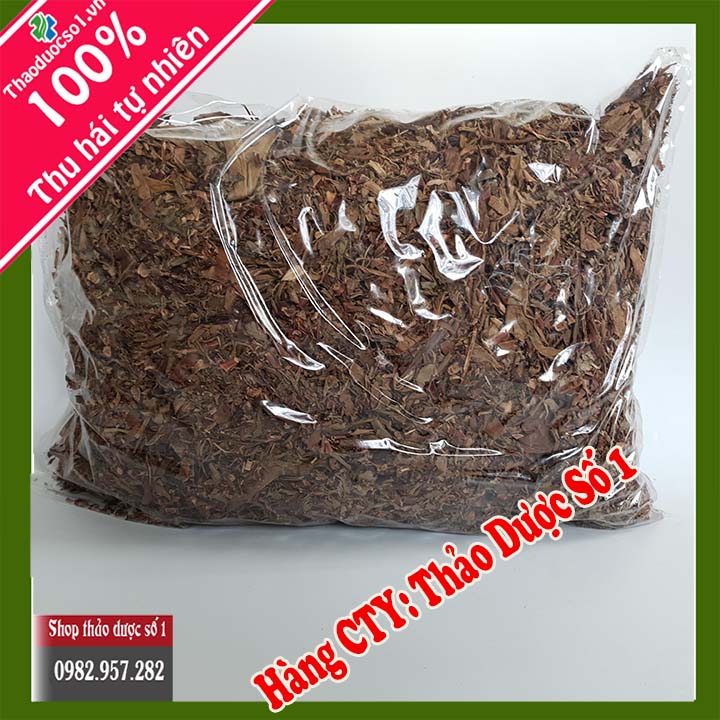 Cây dong riềng đỏ - 1KG Cao Cấp
