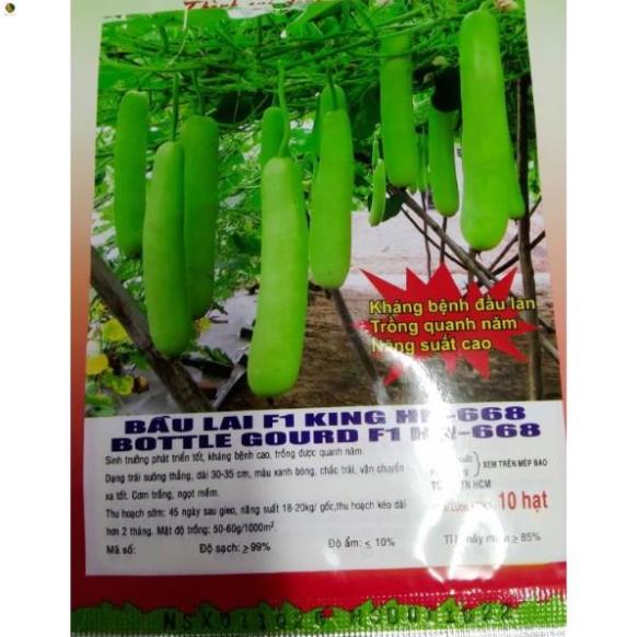 Hạt bầu trái dài F1 - gói 10 hạt