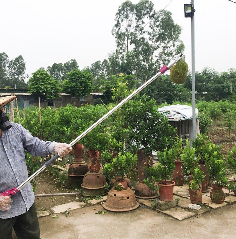 Kéo cắt cành