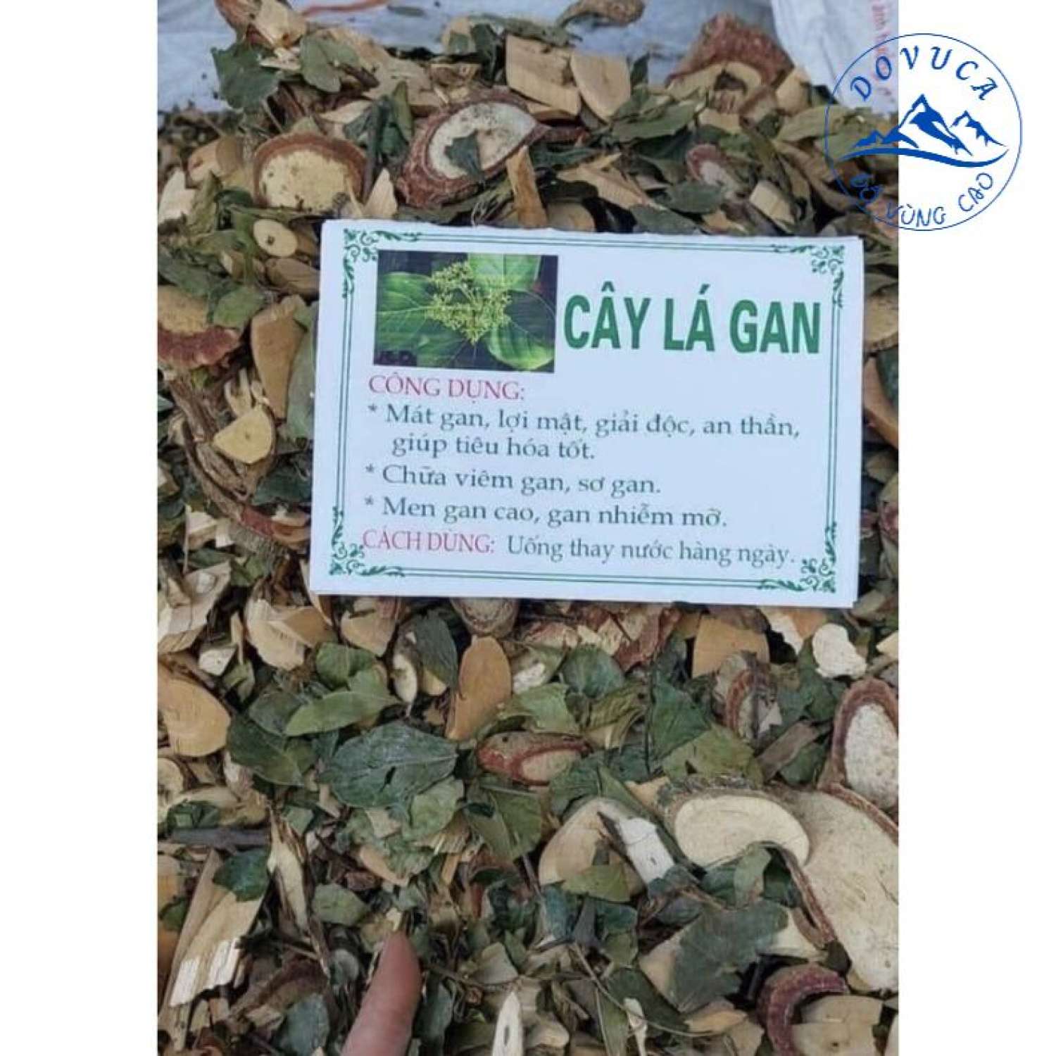 1kg cây lá gan hỗ trợ men gan, sơ gan, gan mỡ, giải độc, thanh nhiệt- hàng lᴏại 1
