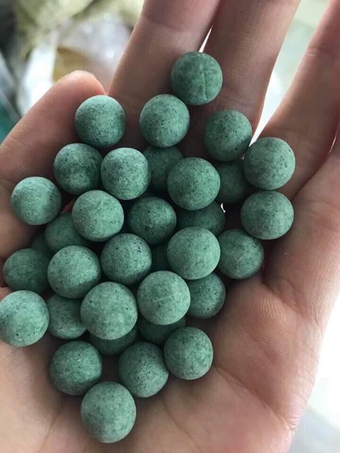 [HCM]500gr viên mầm tảo diệp lục