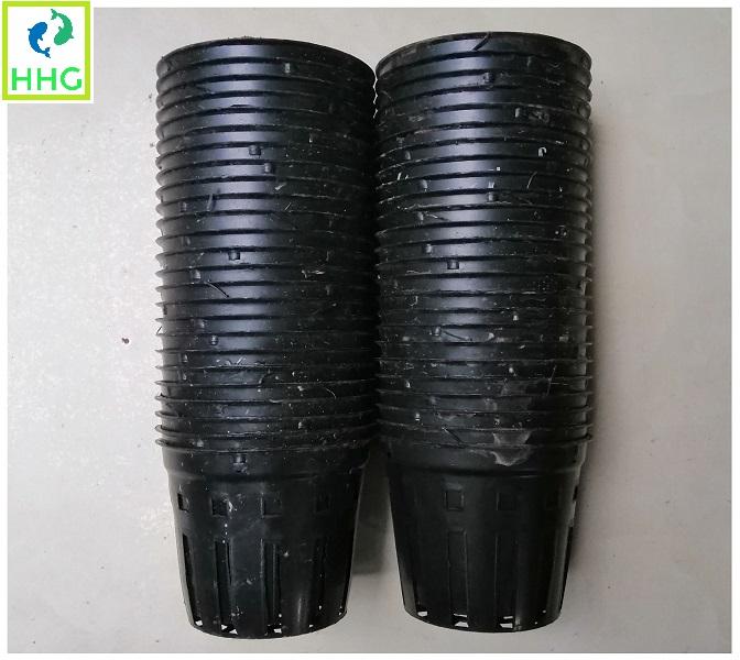 50 chậu nhựa fi 12 trồng lan trồng rau ươm mầm
