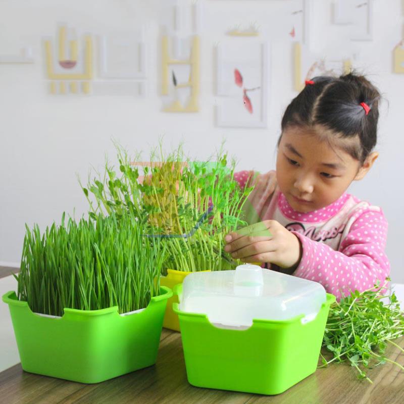 Tray planting vegetables hydroponic sprout pentagonal mam-120, planting pots vegetables 3 layer with lid