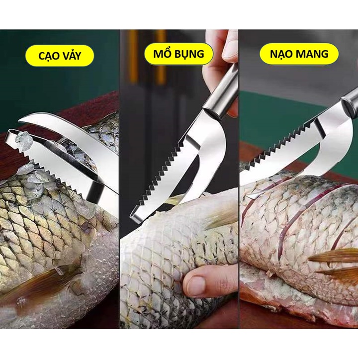 Dao cạo vảy cá, mổ cá, nạo mang cá tiện dụng