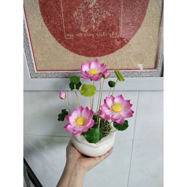 Chậu sen đất sét size nhỏ