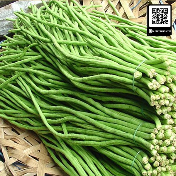 Deal 1K Hạt giống đậu đũa (đậu dải áo)