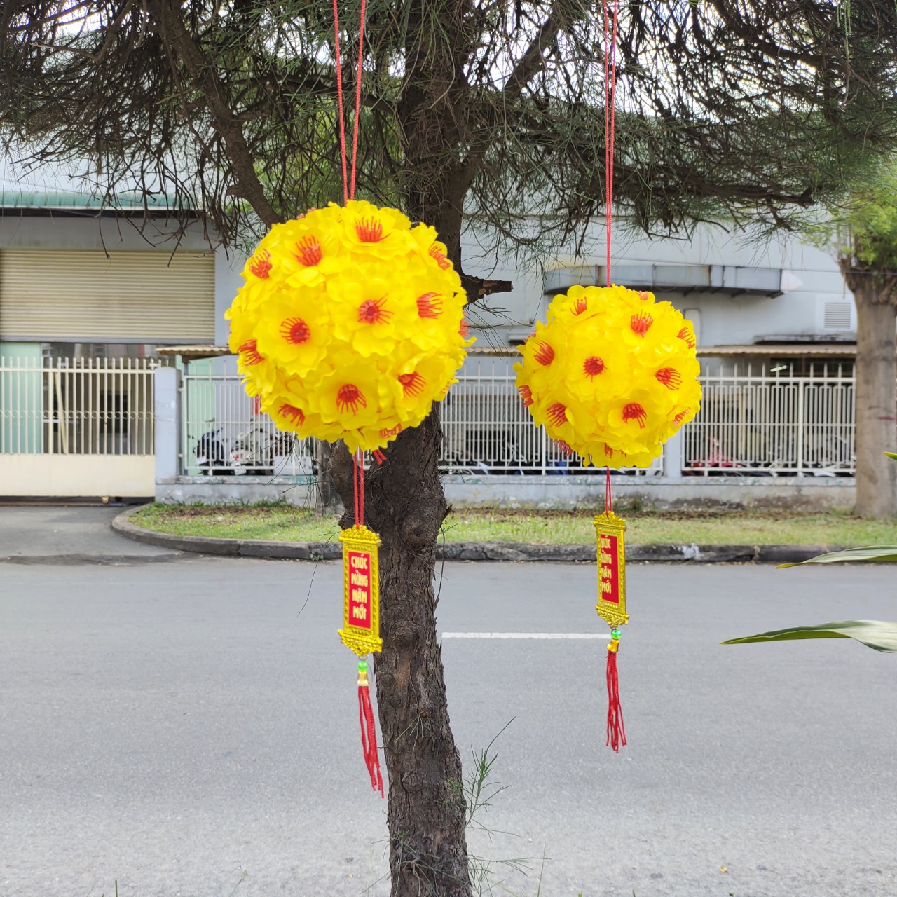 Quả cầu hoa mai trang trí tết (nhiều size) 13CM
