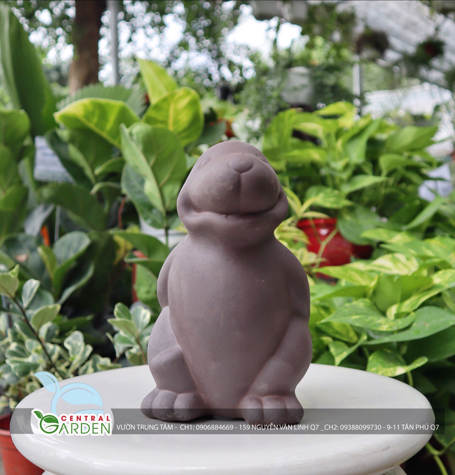 Chậu đất nung chó con