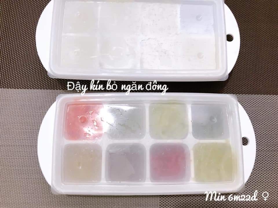 Khay trữ đông có nắp hàng nội địa Nhật
