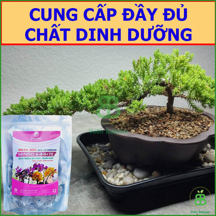 Phân Tan Chậm Hữu Cơ Khoáng MINRO 6-4-6