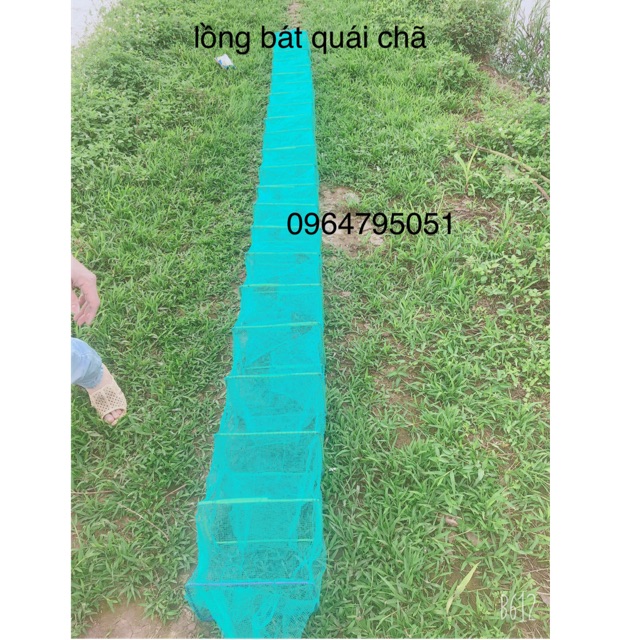 Lưới Lồng Bát Quái Đánh bắt cá - lồng bát quái xăm, chã