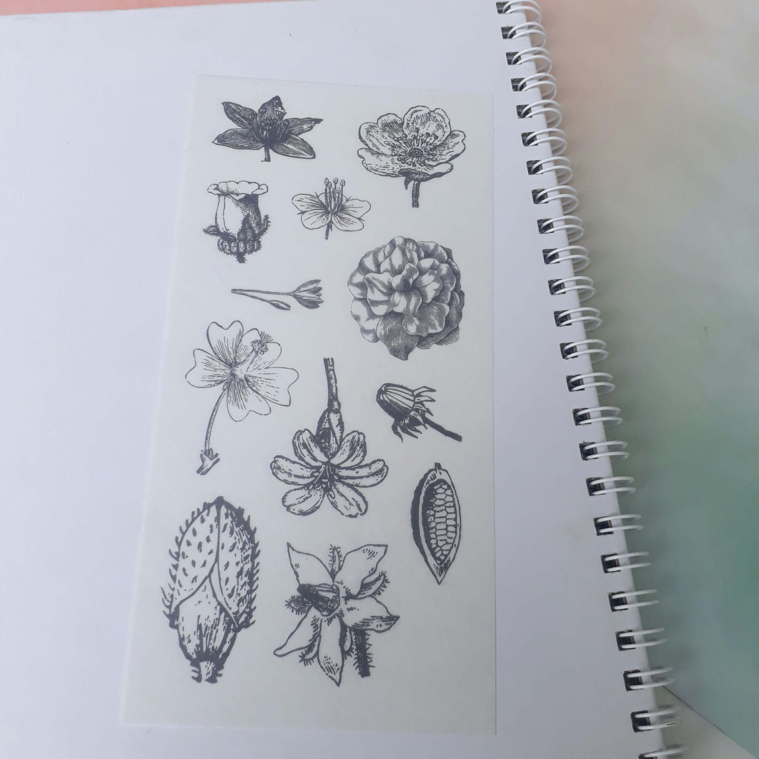 [HCM]Bộ 6 Tấm Sticker Hoa Cổ