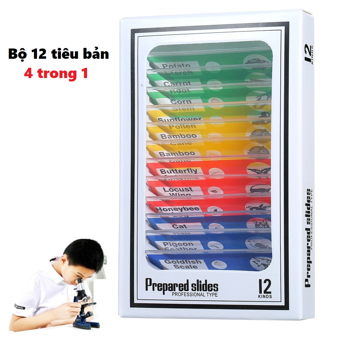 Bộ 12 tiêu bản có sẵn cho kính hiển vi gồm tiêu bản động vật, tiêu bản côn trùng, tiêu bản thực vật