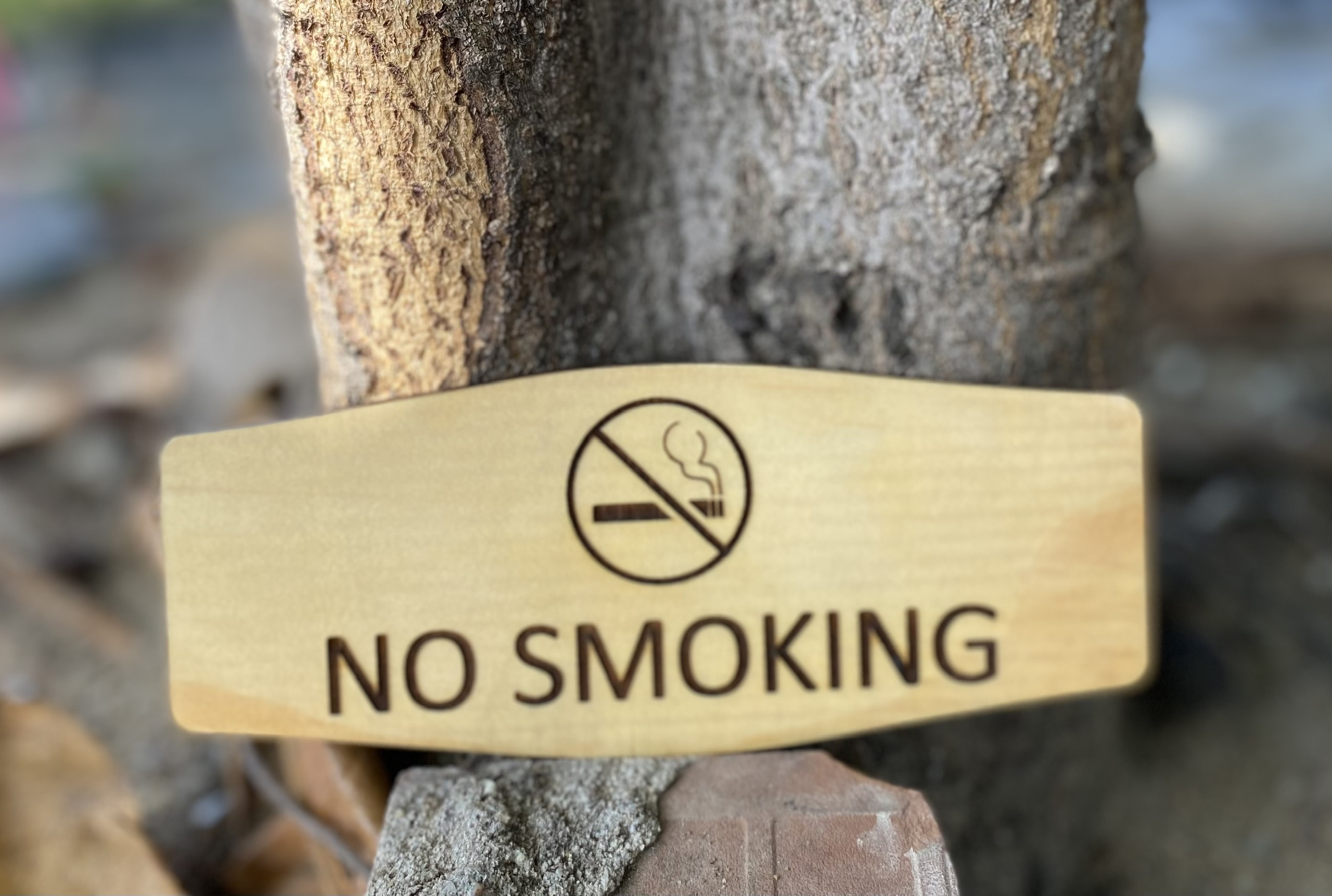 Bảng gỗ No Smoking (20x9) - Xưởng LUXI decor