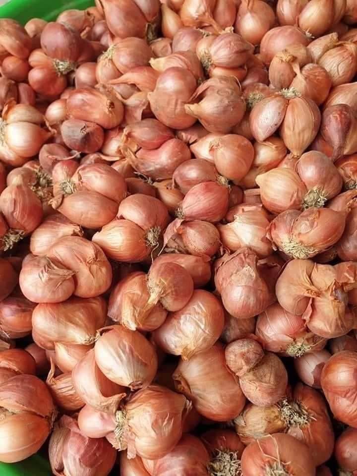 Hành Củ Kinh Môn Hải Dương - 1Kg