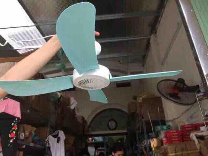 Quạt trần mini cỡ lớn treo màn 60cm