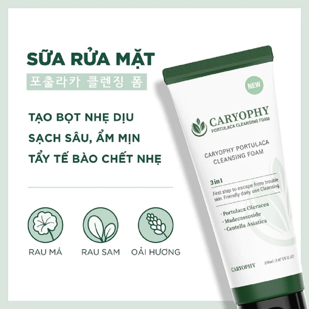 Sữa Rửa Mặt Ngăn Ngừa Mụn, Làm Mờ Thâm Caryophy Portulaca Cleansing Foam 150ml