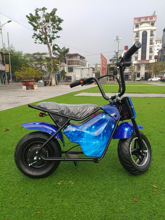 xe moto mini cukake 350w