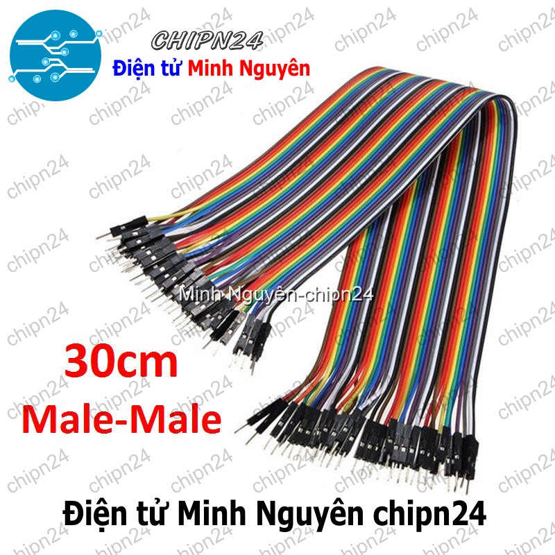 [20 sợi] (P71) Dây Cắm Test Board 30cm Đực-Đực - HH001155