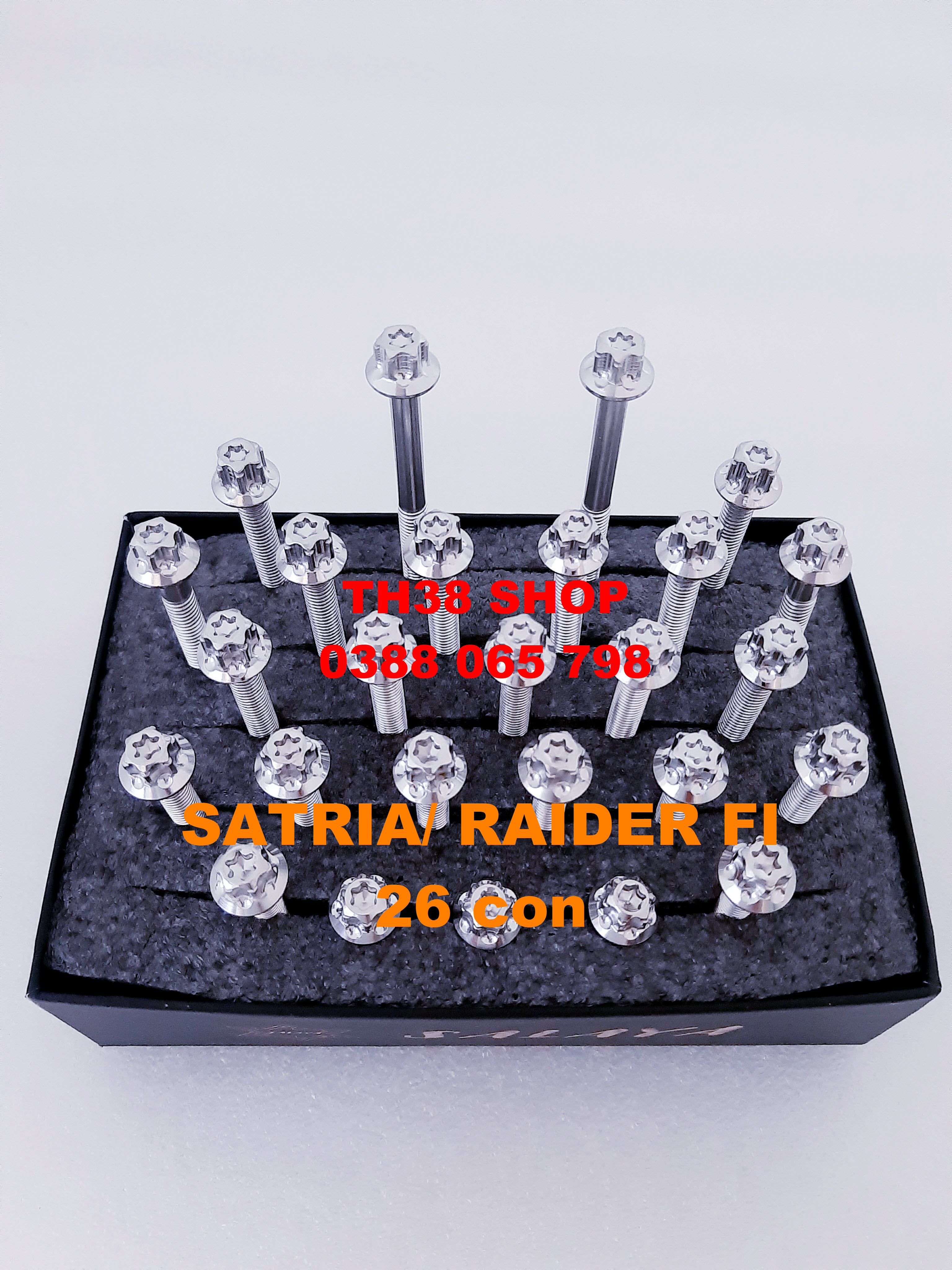 ốc lốc máy salaya satria/ raider fi [26 con]