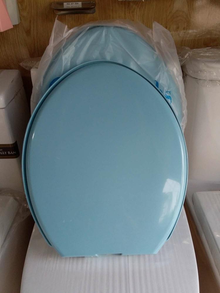 Nắp Bồn Cầu Màu Xanh Biển