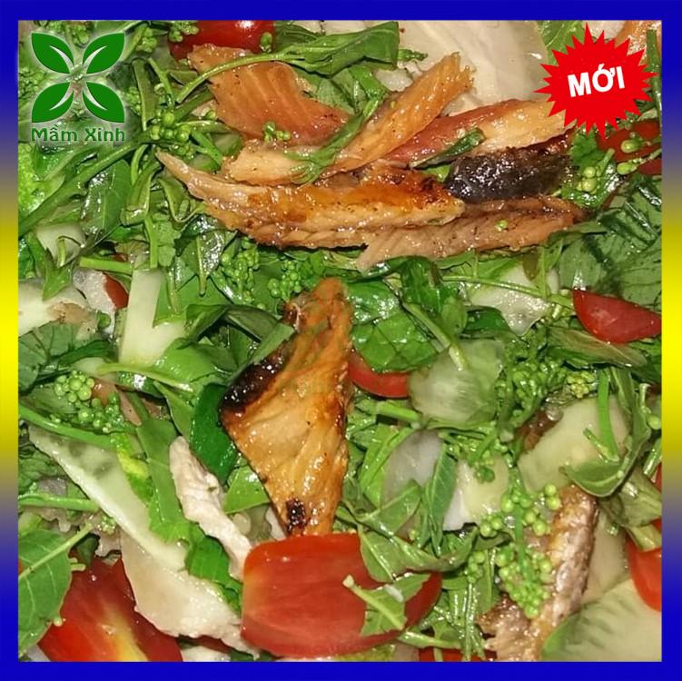 Cây Sầu Đâu Giống