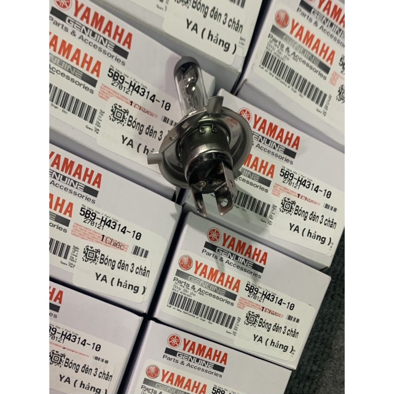 Bóng Đèn Pha 3 Chân Chính Hãng Yamaha