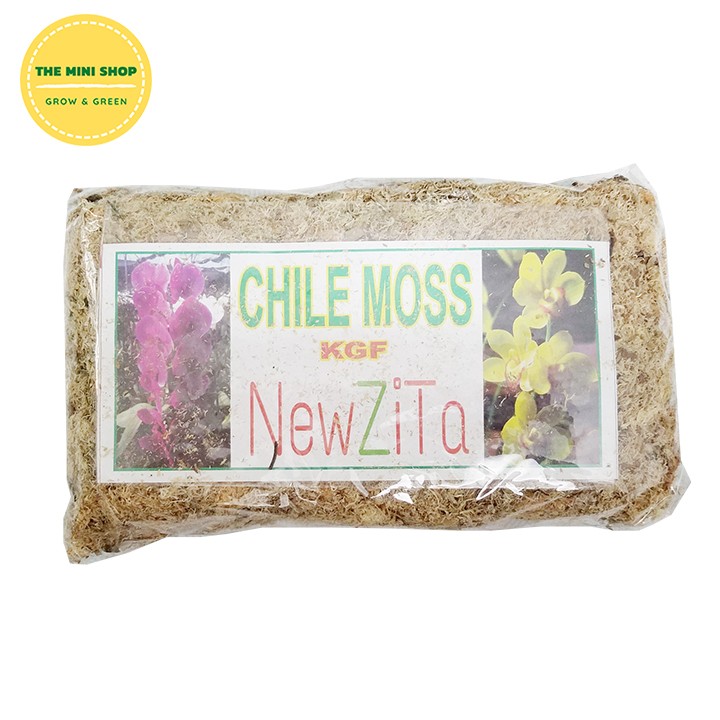 Dớn chile moss - dớn mềm trồng lan 100g
