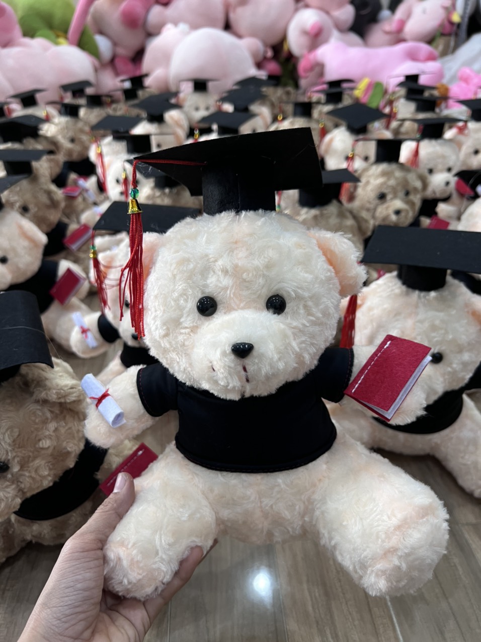 Gấu bông tốt nghiệp 25CM