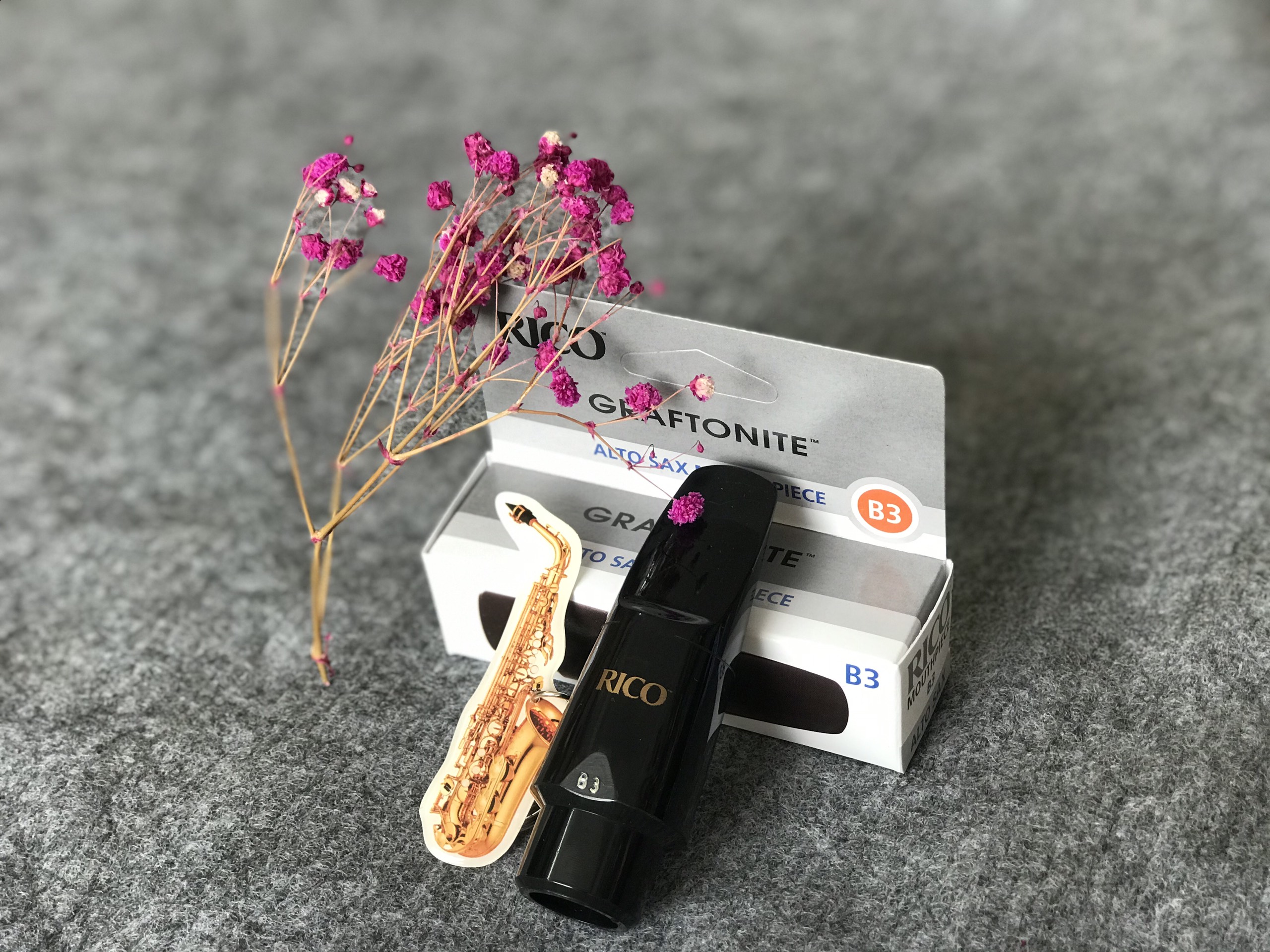 Bec Kèn Saxophone Alto Rico B3