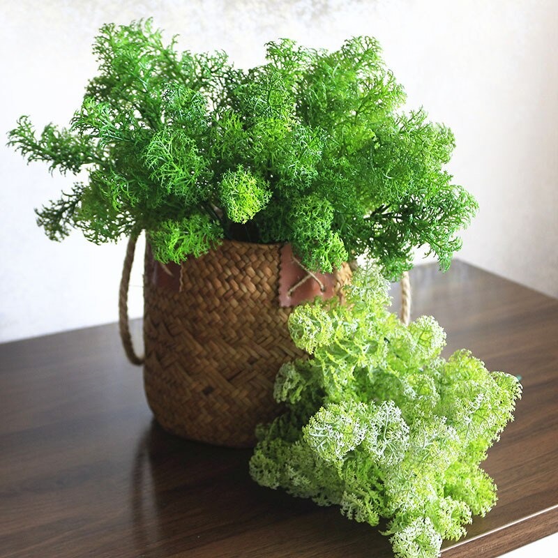 Cụm rong mốc trang trí cắm điểm siêu xinh - Cây giả, hoa lụa Decor trang trí nhà cửa