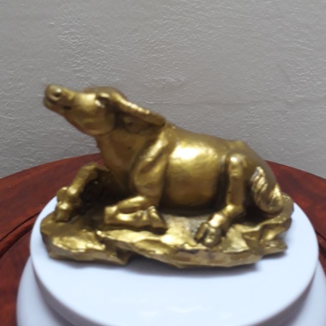 Trâu thư thái tượng trâu đồng vàng nguyên chất. Tượng Trâu phong thuỷ