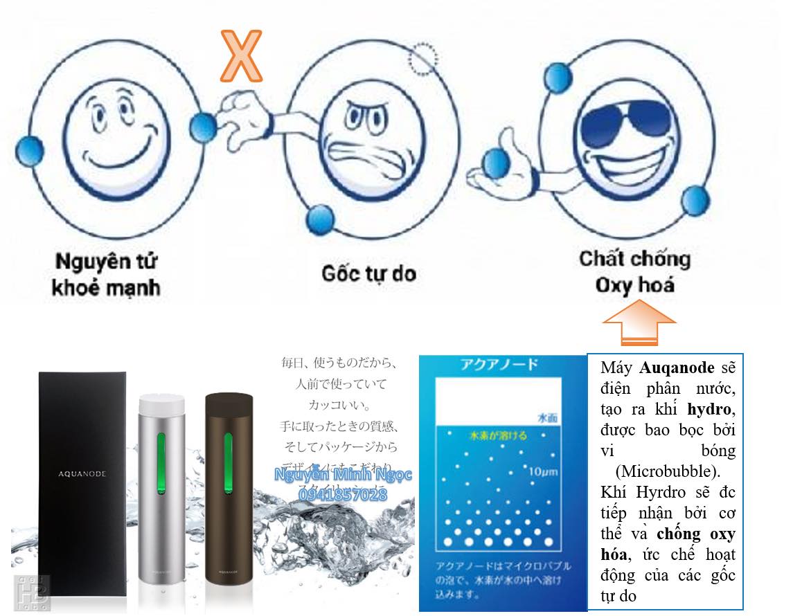 Bình tạo khí Hydrogen Aquanode cao cấp Nhật Bản