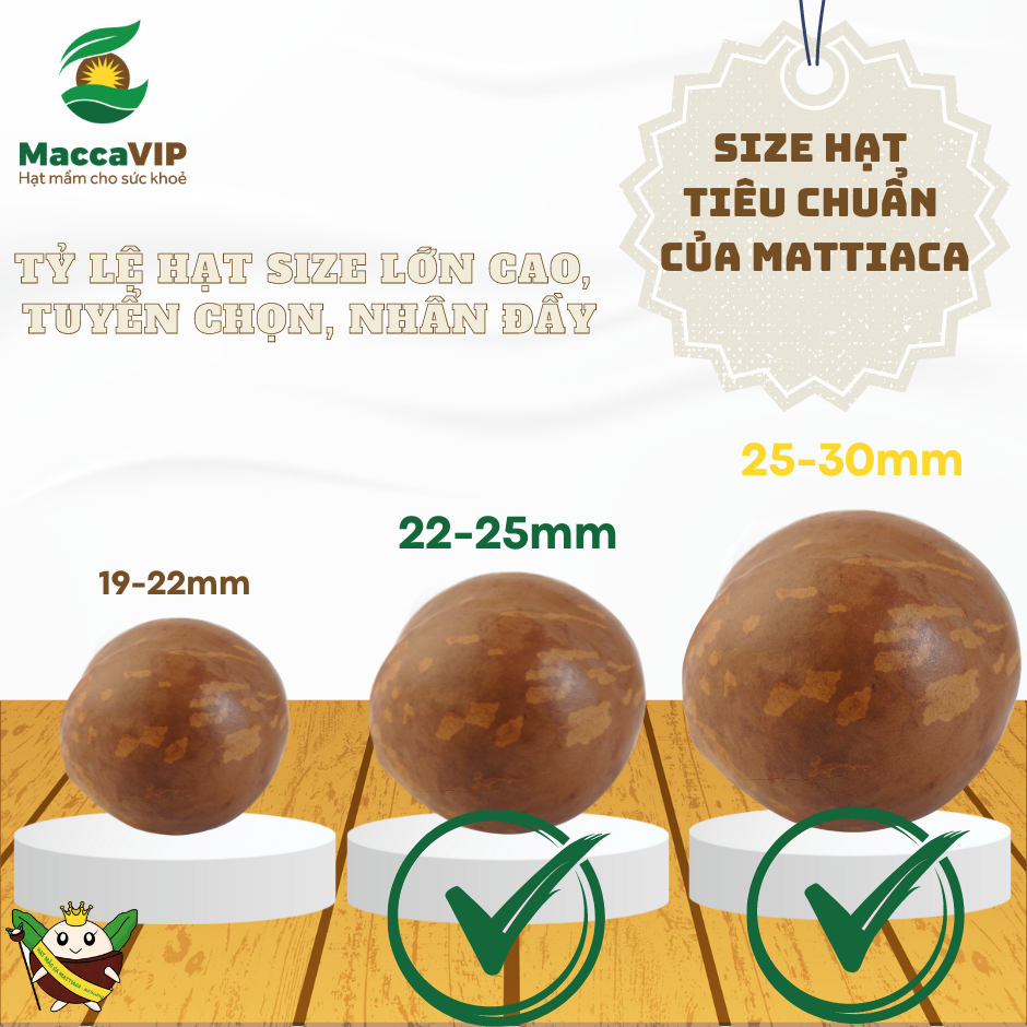 Box 180g macadamia nut Daklak - MaccaVIP (natural crack, size 22-30mm)