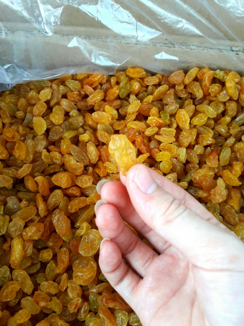 1kg Nho vàng Ấn Độ (đủ bill và hoá đơn)