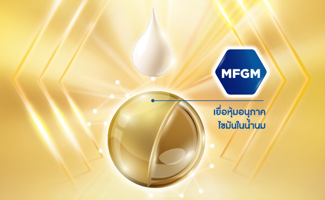 Sữa Bột Enfamil A+ 2 Lon 830g (Cho trẻ từ 6-12 tháng tuổi) - HSD luôn mới