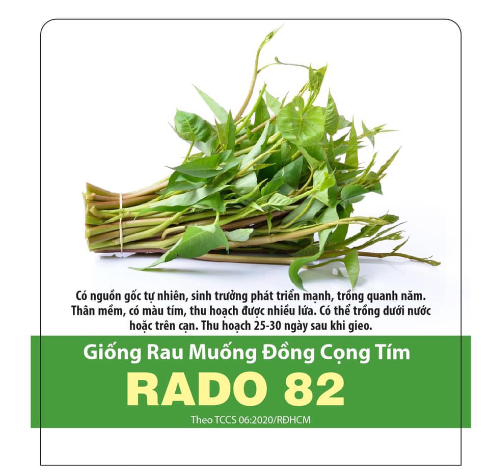 [HCM]Hạt Giống Rau Muống Đồng Cọng Tím 10gr