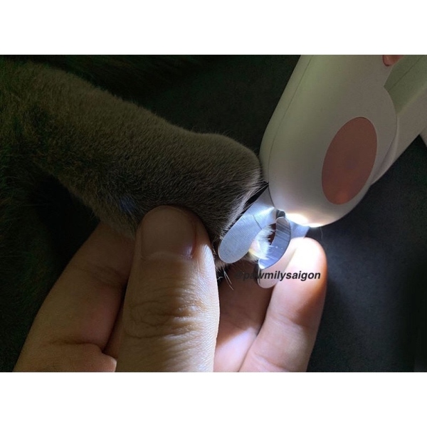 Cắt móng cho chó mèo Thiết bị bảo trì☽  Kềm cắt móng chó mèo tích hợp đèn Led soi tuỷ móng - Kềm cắt móng