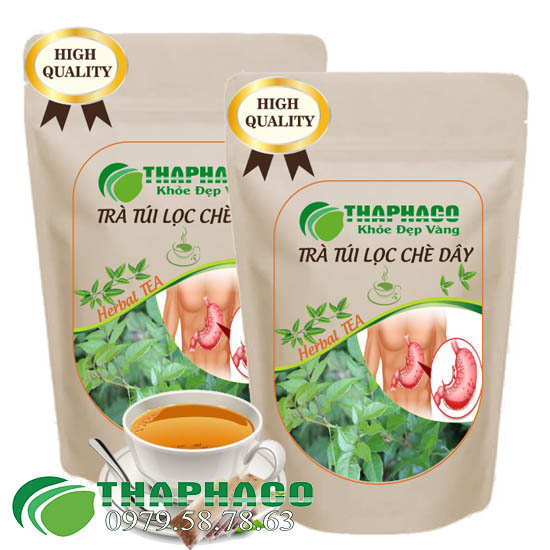Trà Túi Lọc Chè Dây, Tốt Cho Tiêu Hóa - Thaphaco