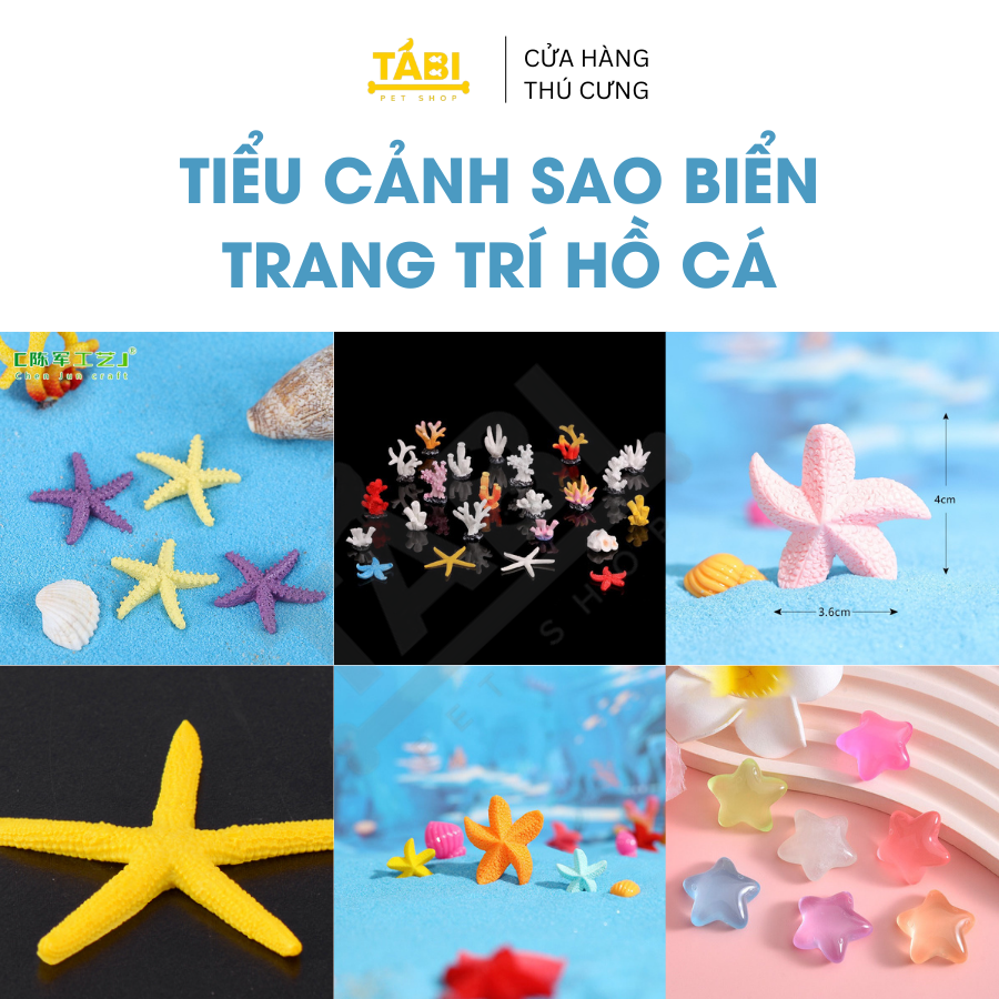 đồ Trang TRí Bể Cá Thuỷ Sinh giá rẻ Tháng 82023BigGo Việt Nam